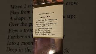 Night Crow by Theodore Roethke [upl. by Emee]