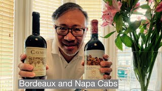 Bordeaux Wine Basics Difference Between Bordeaux and Napa Valley Cabernet Sauvignon [upl. by Mirna]