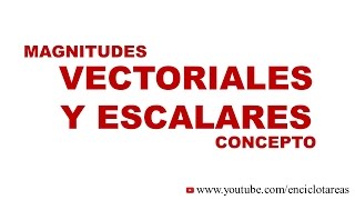 MAGNITUDES VECTORIALES Y ESCALARES Concepto [upl. by Adnileb551]