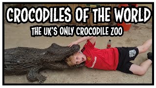 Crocodiles of the World  The UKs Only Crocodile Zoo [upl. by Yendahc]