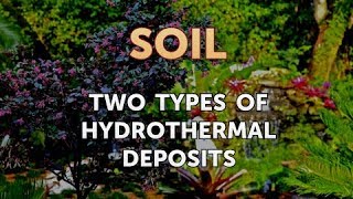 Two Types of Hydrothermal Deposits [upl. by Salinas]