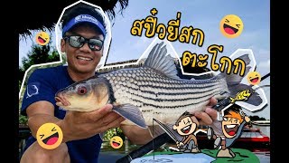 สะปิ๋วยี่สกไทย บึงสำราญ New Bungsumran Julian Carp [upl. by Ailekat387]