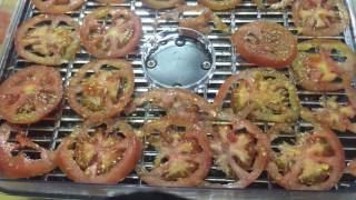 DIY Crispy Tomato Chips in The Dehydrator amp Oven Healthy amp Simple [upl. by Arodal]