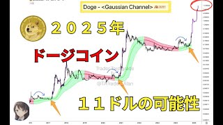 ２０２５年 ドージコイン １１ドルの可能性 [upl. by Cimbura272]