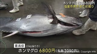 宮城・塩釜魚市場でマグロ初競り 年間水揚げ額は前年上回る１２０億円目標 [upl. by Haron433]