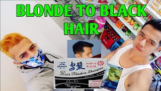 BLONDE TO BLACK  Paano magapply ng Blackening shampoo  EK Villanueva Vlog12 [upl. by Ahsemik]