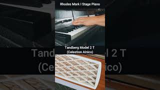 Fender Rhodes  Amp Comparison shorts [upl. by Janka]