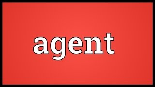 Agent Meaning [upl. by Janel65]