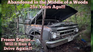 Rare Ford F100 ABANDONED in the Forest 25 Years Ago Will it Run amp Drive [upl. by Nitsew]