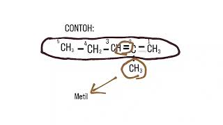 penamaan alkena [upl. by Ainerbas]