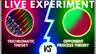 Trichromatic and Opponent Process Theory  The EASY Explanation [upl. by Ginni493]