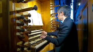 Airs des Clochettes WA Mozart  Frédéric Deschamps au grand orgue de la cathédrale dAlbi [upl. by Brigham]