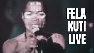 Experience the Legendary FELA KUTI Live Armys Arrangement 1981 [upl. by Calendre]