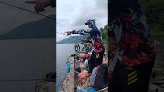 panen strike bertubi tubi di reva rumah kaca danau Toba [upl. by Chari]