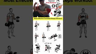 Top 4 BICEPS Exercises Brutal Stretch [upl. by Katlaps]