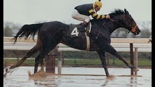 Seattle Slew  Full Documentary [upl. by Annaed]