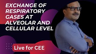 Exchange of gases at alveolar level 3rd Class for CEE Liveclass abhaysir CEE MEC [upl. by Arikihs]