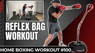 20 Min Beginner Reflex Bag Workout  Cobra Bag vs Punching Ball [upl. by Rollecnahc]