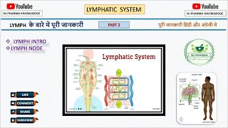 Lymphatic system lecture 2  Anatomy and physiology  lymph intro  lymph node  biology [upl. by Idnaj877]