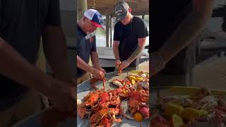 Louisiana Boiled Crabs vs Maryland Steamed Crabs [upl. by Ziwot938]