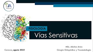 Vías Sensitivas Ago 22 [upl. by Carmina]