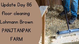 Floor cleaning Day 86  Lohmann brown Lohmann black  OrganicValleyPakistan [upl. by Chicoine29]