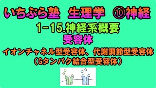 【いちぷら塾】生理学 10 神経 115 神経系概要 受容体 [upl. by Kahaleel]