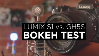 Bokeh Test Lumix S1 vs GH5S [upl. by Niehaus447]