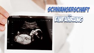 Schwangerschaft Einführung  Krankheitslehre  Pflege Kanal [upl. by Eiralav]