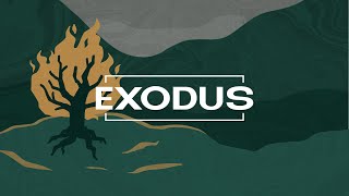 Exodus Bible Study 112024 [upl. by Oinotna]