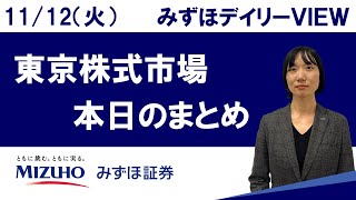 11月12日（火）の東京株式市場 みずほデイリーVIEW 藤崎光 [upl. by Elorak865]