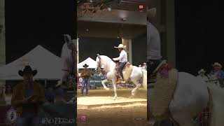 Feria del caballo Español [upl. by Nimaj]