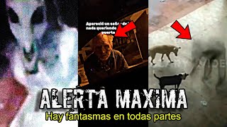 ALERTA por Avistamientos de FANTASMAS en TODAS PARTES [upl. by Wandie]