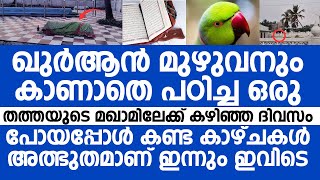 ഖുർആൻ മുഴുവനും കാണാതെ പഠിച്ച ഒരു തത്തയുടെ മഖാമിലെക്ക് കഴിഞ്ഞ ദിവസം പോയപ്പോൾ  Tamil Nadu Dargah [upl. by Etteluap]