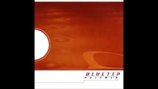 Bluetip  Polymer Dischord Records 121 2000 Full Album [upl. by Edelson940]