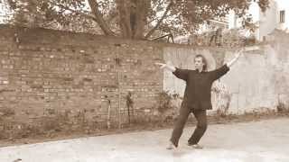 Wudang Taijiquan Forms  Cheng Tinhung 鄭天熊 lineage [upl. by Enrica]