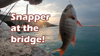 Florida Keys Part 5  BRIDGE Fishing with CHUM  Post Hurricane Eta  Snapper Grouper and MORE [upl. by Etteval]