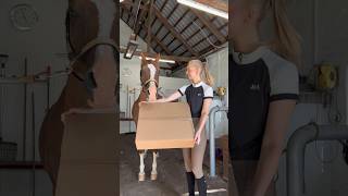 AD Unboxing  from horseware 💚 horse equestrian pony rider horses cheval gifted unboxing [upl. by Llevrac851]