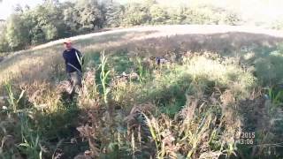 Chasse au petit gibier en Sologne très nombreux tirs HD [upl. by Recha22]