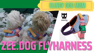 ZeeDog FlyHarness  The Social Dog Club Event in Makati City [upl. by Nnyliram]