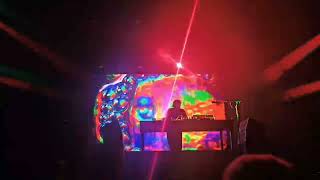 FLOATING POINTS Opener Festival 2024 LIVE [upl. by Adnileb]