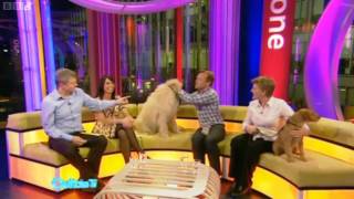 BBC Bloopers  Outtake TV  9042010 [upl. by Inahpit]