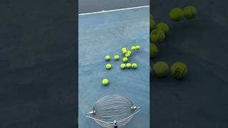 Tennis Ball Elegance Easy Court Collection with Sophistication smalleyes fishing smallball [upl. by Eednahs]