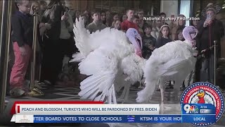 Two turkeys pardoned by President Biden [upl. by Kciredohr]