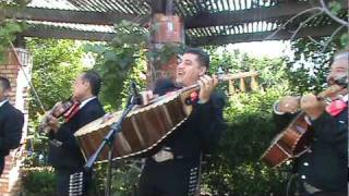 Mariachi Halcones De Jalisco  Puno De Tierra [upl. by Majka233]