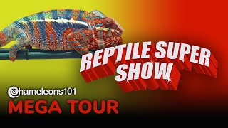 2022 Pomona CA Reptile Super Show Mega Tour By Chameleons101com [upl. by Bea]