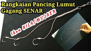 Cara Membuat Rangkaian Pancing Umpan Lumut Gagang Senar  Nila  Mujahir [upl. by Polinski]