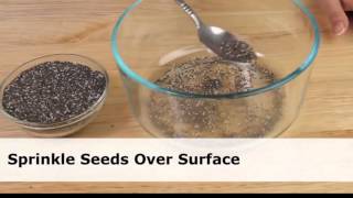 Sprouting Chia Seeds [upl. by Christiano]