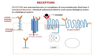 BASIC CONCEPT OF RECEPTORS TARGETS OF DRUG ACTIONS PART 1 [upl. by Sirromaj716]