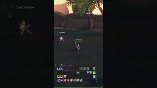 Bug in Neutral Zone Lineage 2 2024 [upl. by Noseaj908]